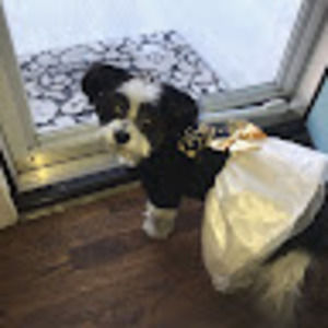 Meet your Posher, Freda